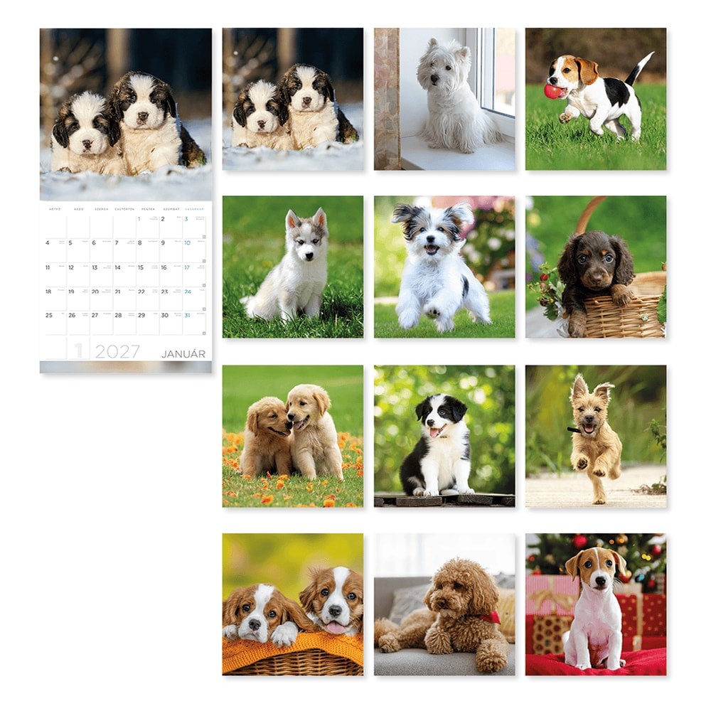 Falinaptar_LIZZYCALENDAR_300x600mm_allo_Kutyak_2027-i2668701.jpg