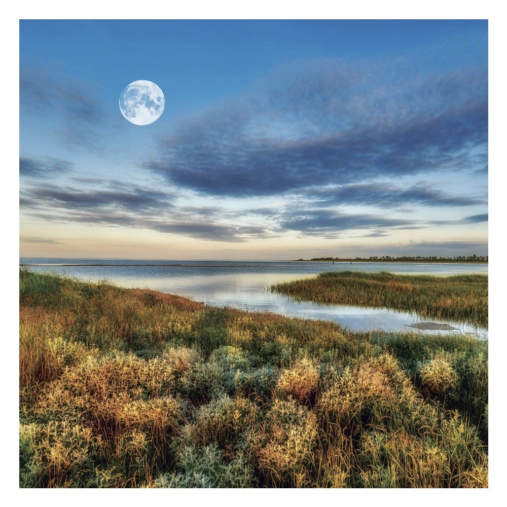 Lemeznaptar_REALSYSTEM_300x300mm_The_Moon_2027-i2639974.jpg