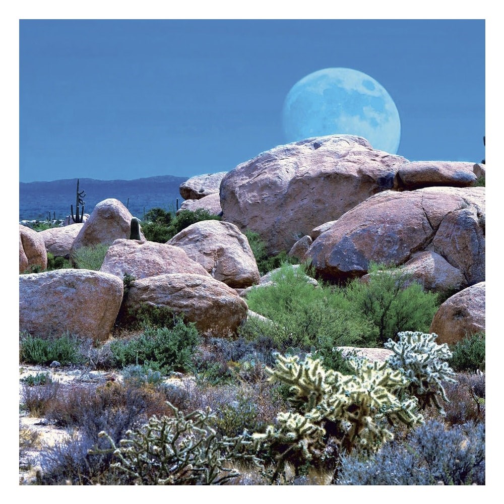 Lemeznaptar_REALSYSTEM_300x300mm_The_Moon_2027-i2640029.jpg