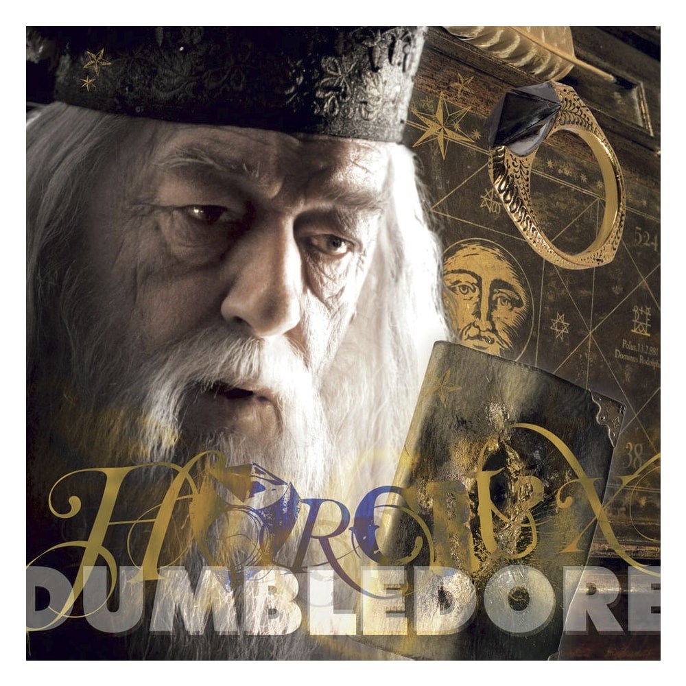 Lemeznaptar_REALSYSTEM_300x300mm_Harry_Potter_2027-i2640887.jpg