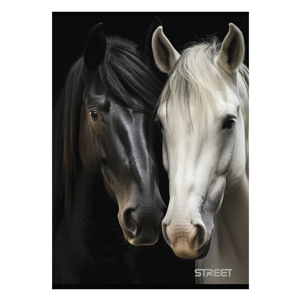 Fuzet_sima_STREET_A_4_54_lapos_Horses-i2535366.jpg