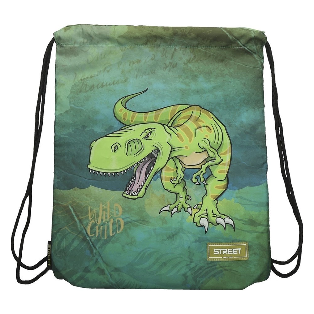 Iskolataska_szett_STREET_3_reszes_Dinosaur-i2531673.jpg