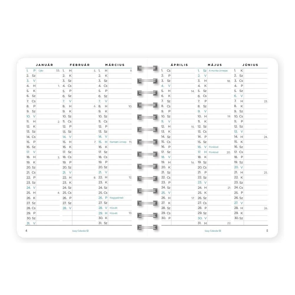 Hataridonaplo_LIZZYCALENDAR_B_6_heti_spiralozott_gumis_Joking_2027-i2667315.jpg