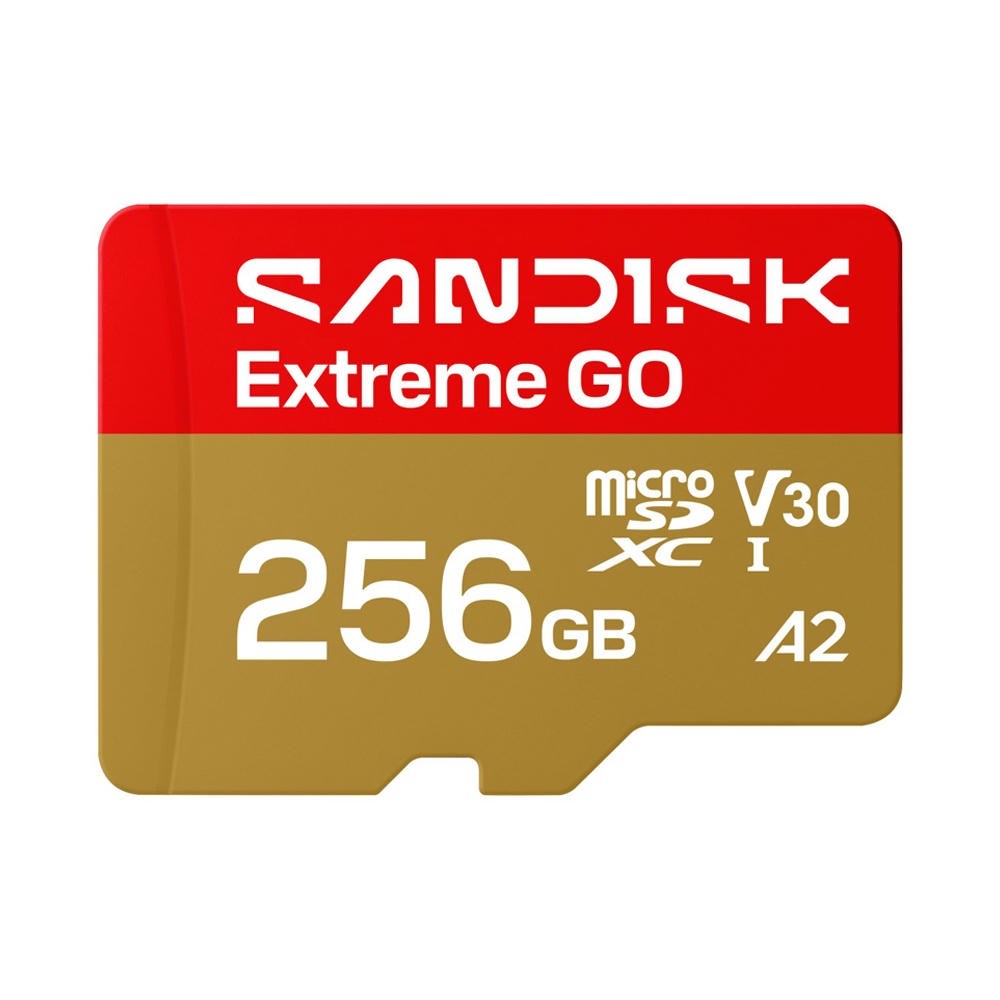 Memoriakartya_SANDISK_microSDXC_Extreme_GO_U3_V30_256_GB-i2731811.jpg