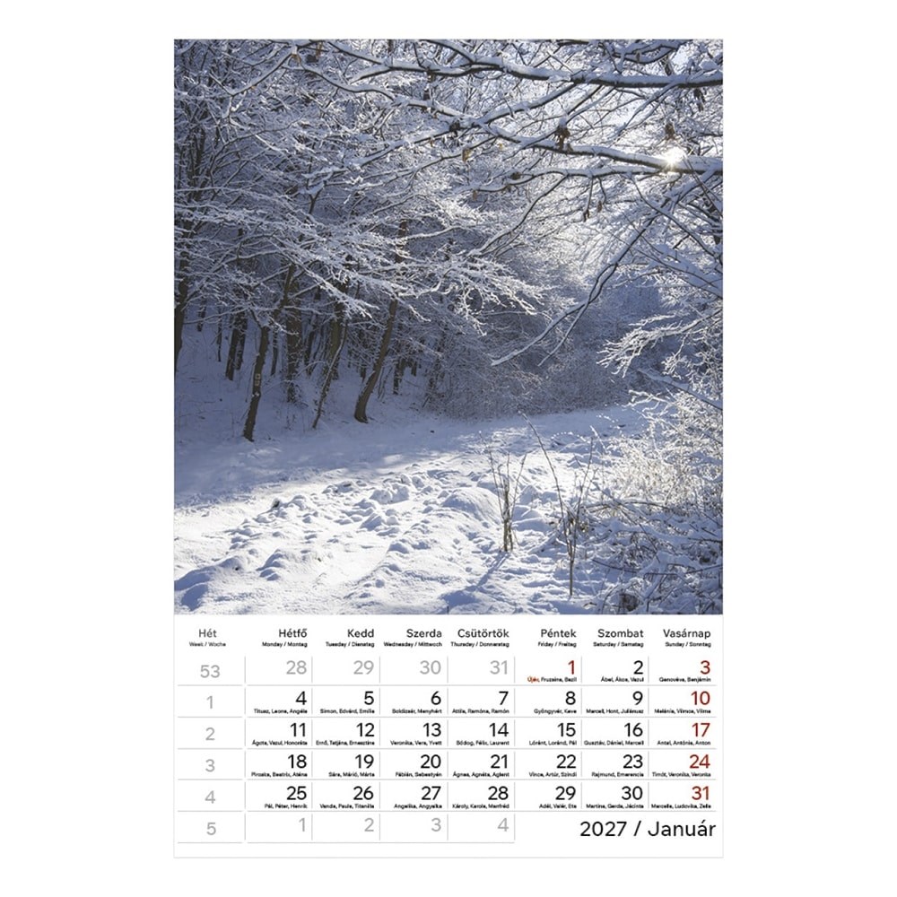 Falinaptar_TOPTIMER_T094_220x330mm_allo_Hangulatok_2027-i2696487.jpg