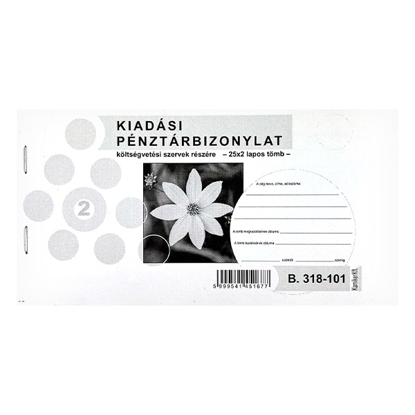 Nyomtatvany_kiadasi_penztarbizonylat_koltsegvetesi_szervek_reszere_vegykezelt-i714597.jpg