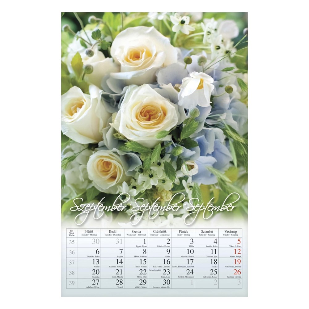 Falinaptar_CSG_210x320mm_allo_Virag_2027_-i2632907.jpg