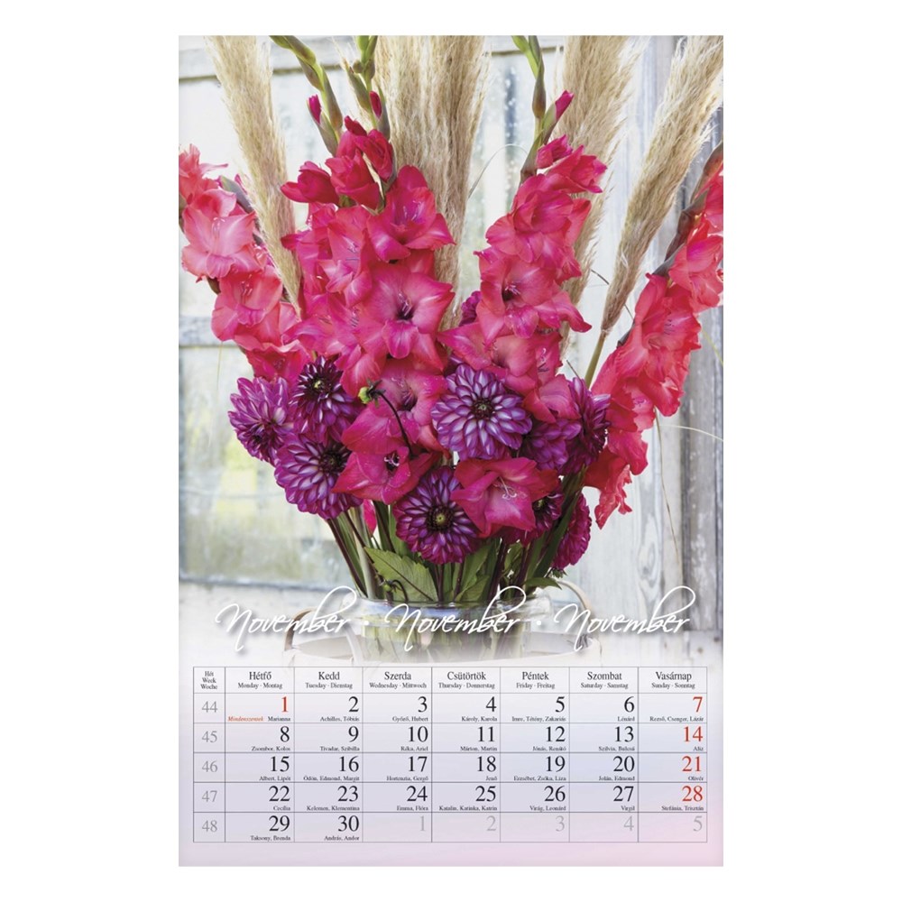 Falinaptar_CSG_210x320mm_allo_Virag_2027_-i2632929.jpg