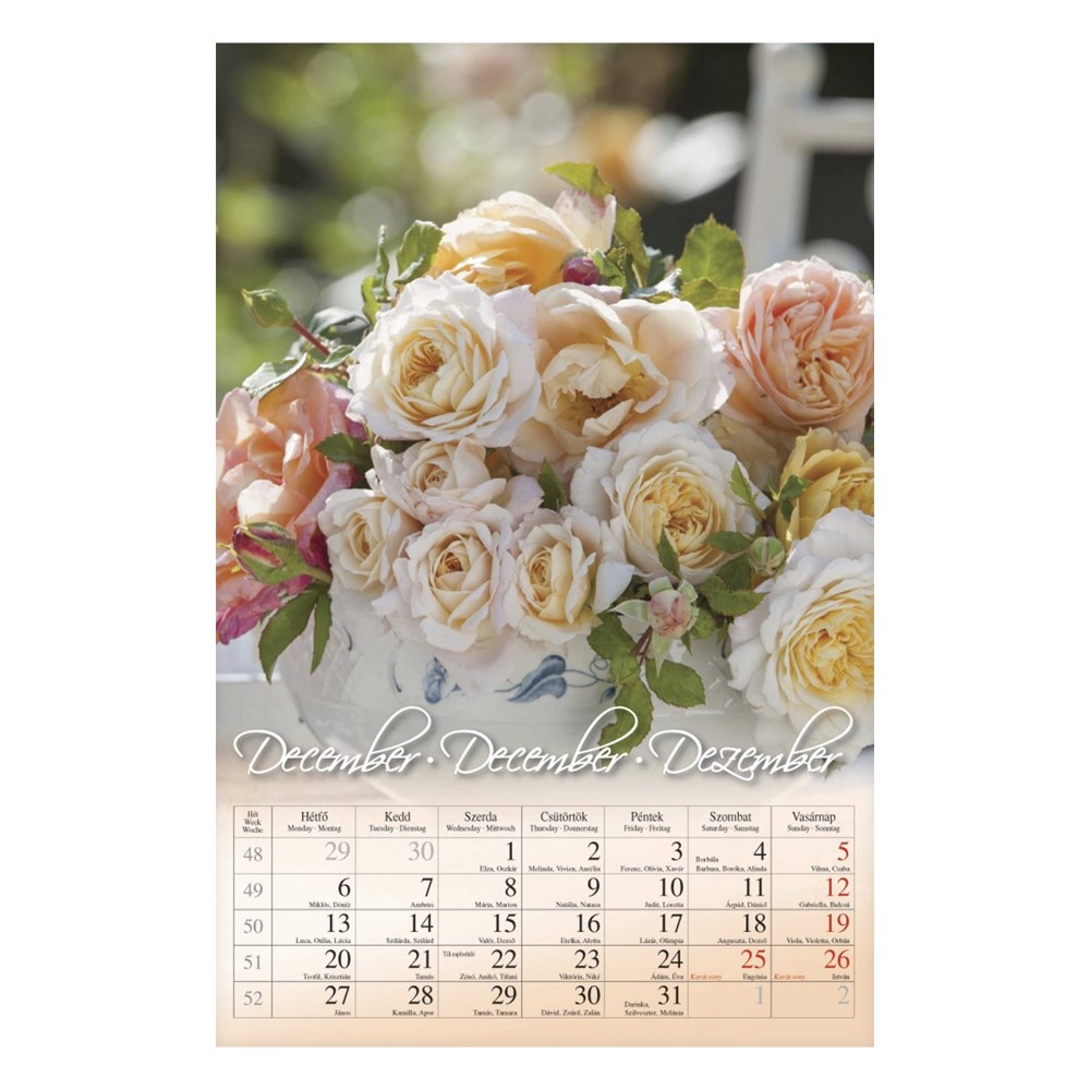 Falinaptar_CSG_210x320mm_allo_Virag_2027_-i2632940.jpg