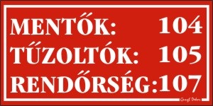 PIKTOGRAM_MENTO_TUZOLTO_TELSZAMOK_PIROS-i335066.jpg
