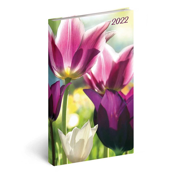 Zsebnaptar_REALSYSTEM_Picture_allo_feher_lapos_Tulipan_2022_-i610417.jpg
