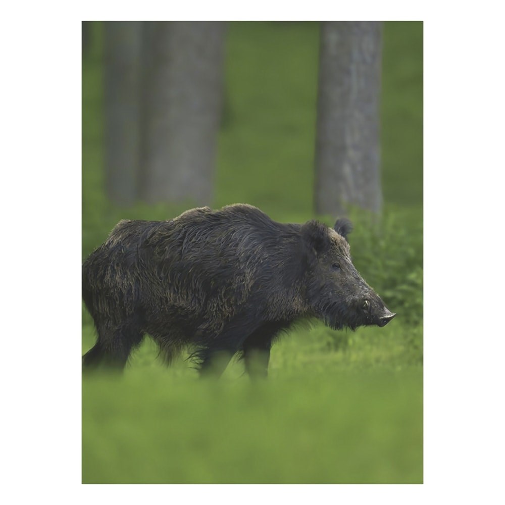 Falinaptar_TOPTIMER_T093_310x420mm_allo_Vadaszat_2027-i2693011.jpg