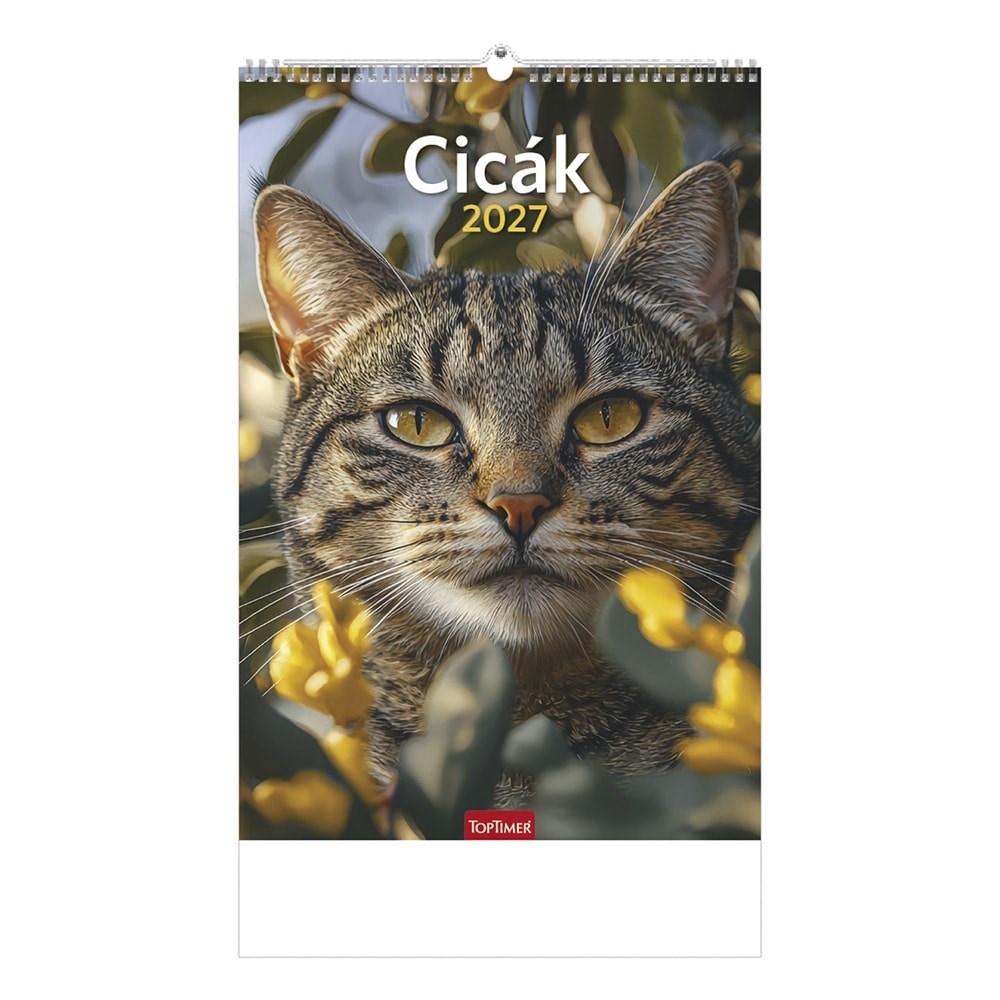Falinaptar_TOPTIMER_T094_220x330mm_allo_Cicak_2027-i2696366.jpg