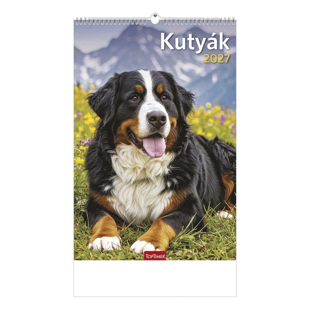 Falinaptar_TOPTIMER_T094_220x330mm_allo_Kutyak_2027-i2696256.jpg