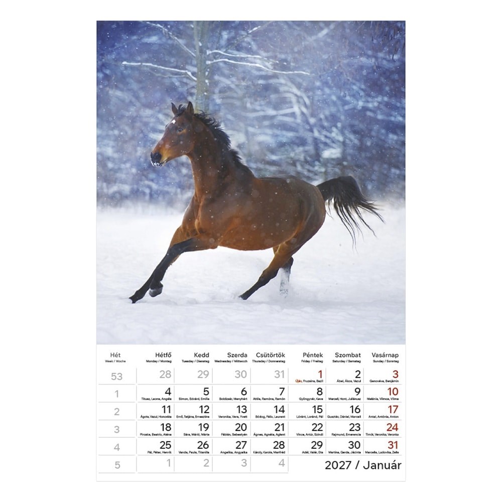 Falinaptar_TOPTIMER_T094_220x330mm_allo_Lovak_2027-i2695937.jpg