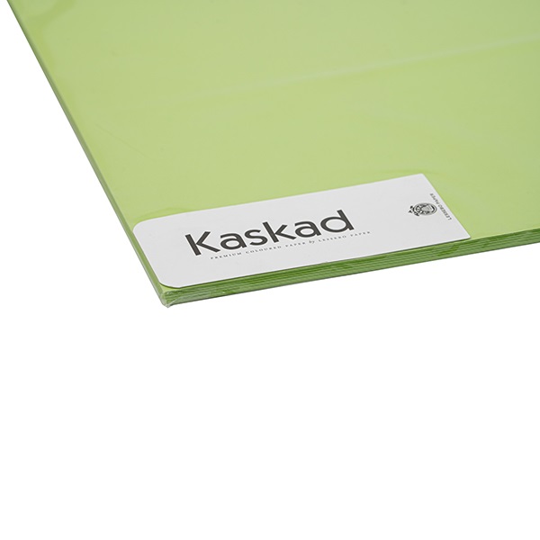 Dekoracios_karton_KASKAD_45x64_cm_2_oldalas_225_gr_limezold_66_100_ivcsomag-i556860.jpg
