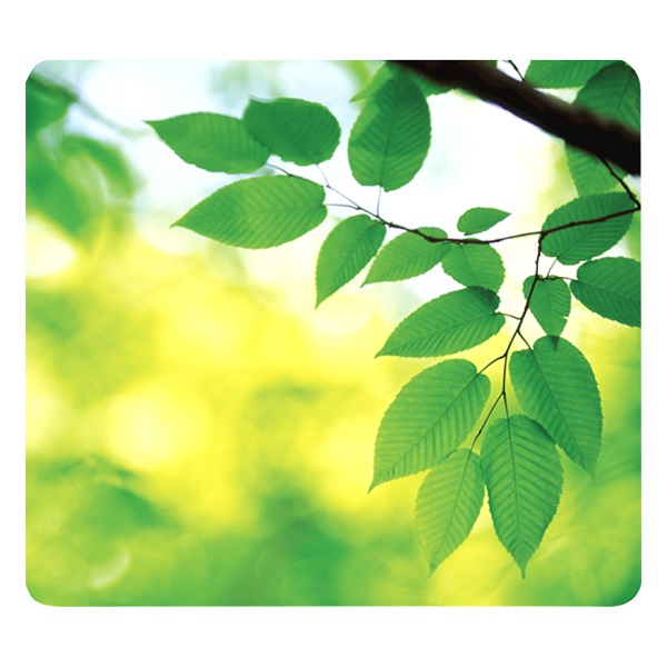 Egeralatet_FELLOWES_Earth_Series_ujrahasznositott_levelek-i653539.png