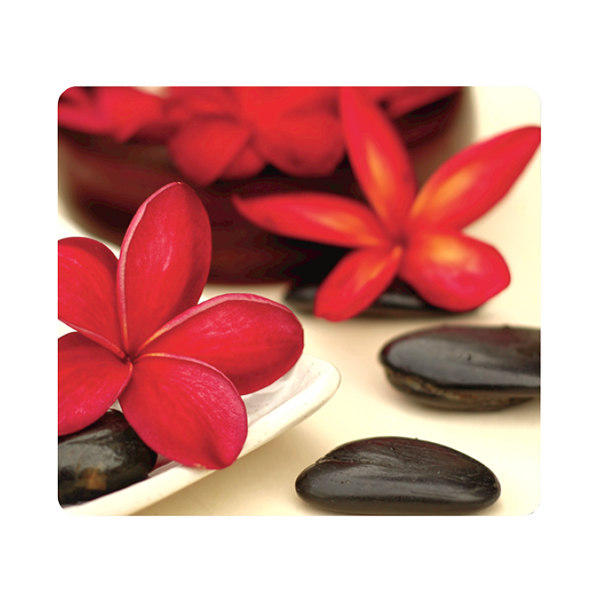 Egeralatet_FELLOWES_Earth_Series_ujrahasznositot_virag-i523481.png