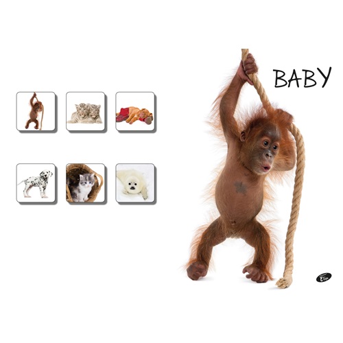 FUZET_ELISA_A5_12-32_IIIO_BABIES-i172648.jpg