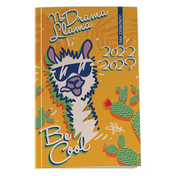 Diak_zsebkonyv_REALSYSTEM_papirborito_125x205mm_lama_2022_2023-i668730.jpg