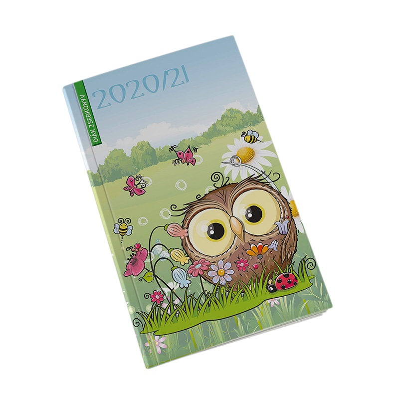 Diak_zsebkonyv_REALSYSTEM_papirborito_125x205mm_Bagoly_2020_2021-i530108.jpg
