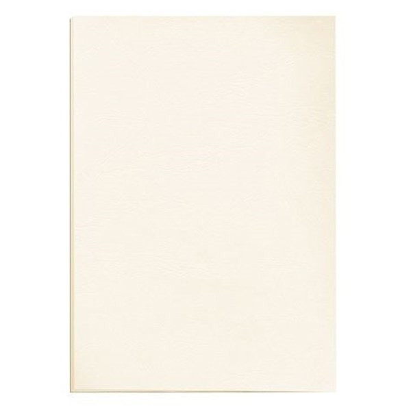 Hatlap_FELLOWES_Delta_A4_250g_matt_elefantcsont_100csom-i1193202.jpg