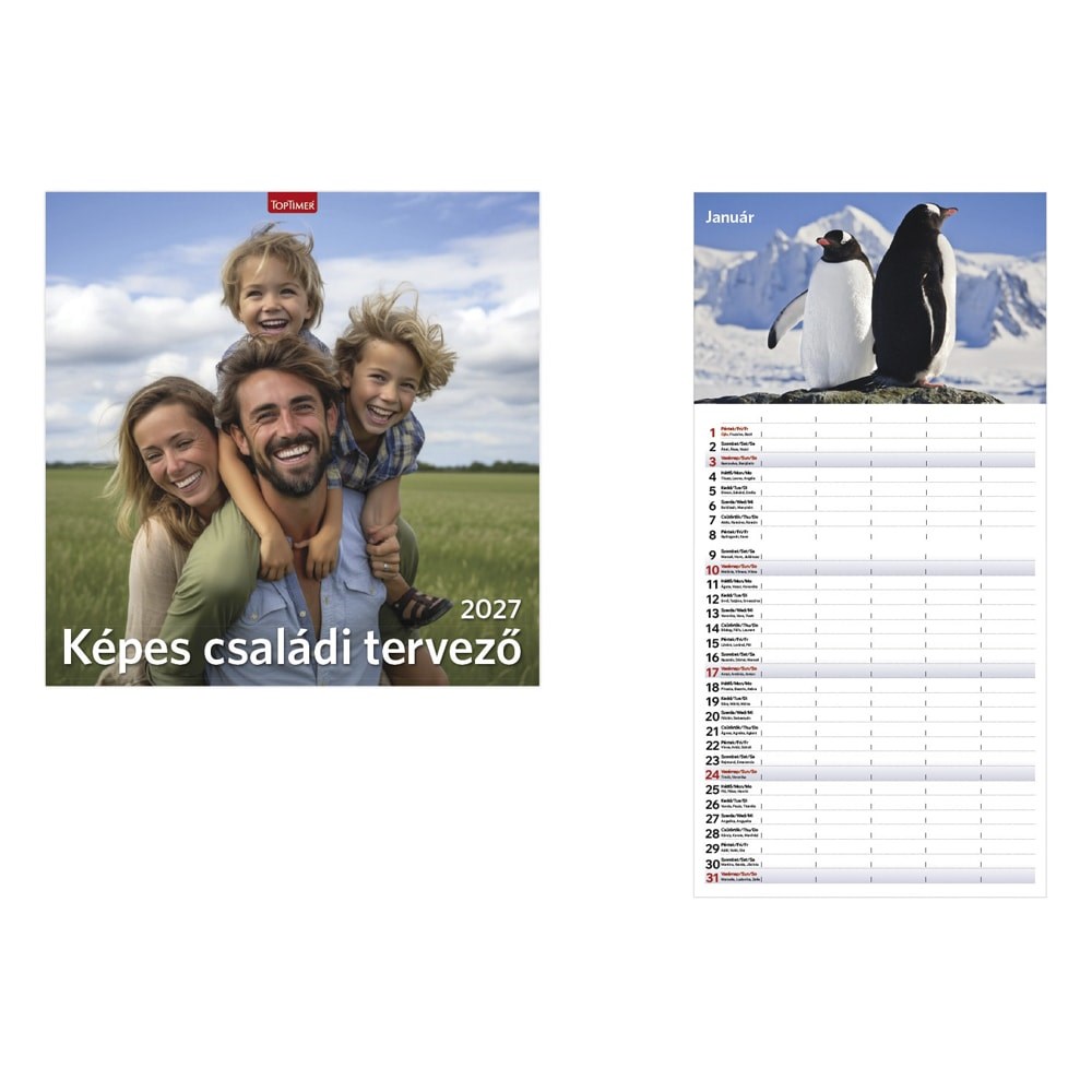 Falinaptar_TOPTIMER_T098_290x580mm_allo_Kepes_csaladi_tervezo_2027-i2697081.jpg