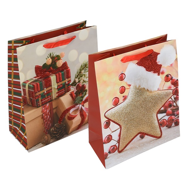 Disztasak_Special_Plus_L_26x32x12_cm_karacsonyi_szines_matt_glitteres_szalagfules-i624558.jpg