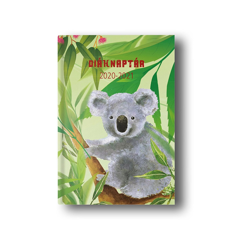 Diak_zsebkonyv_TOPTIMER_papirborito_B_6_120x170mm_Koala_2020_2021-i529887.jpg