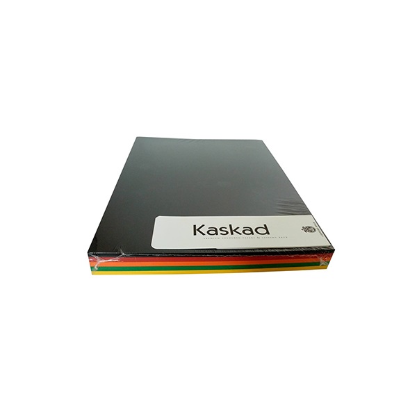 Dekoracios_karton_KASKAD_A_4_160_gr_pasztell_vegyes_szinek_5x25_iv_csomag-i505956.jpg