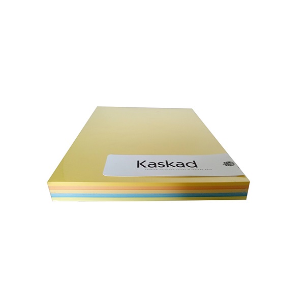 Dekoracios_karton_KASKAD_A_4_160_gr_pasztell_vegyes_szinek_5x25_iv_csomag-i505966.jpg