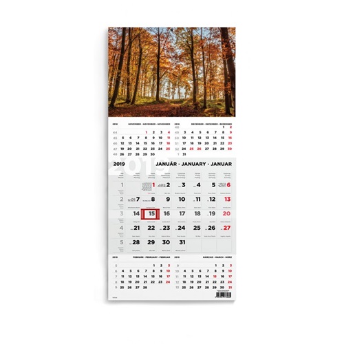 Speditornaptar_Toptimer_T076_1_tombos_5_havi_Erdo_2019-i253721.jpg