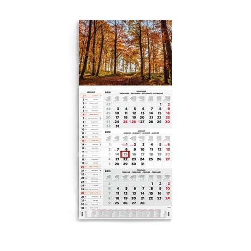 Speditornaptar_Toptimer_T077_1_tombos_3_havi_Erdo_2019-i253757.jpg