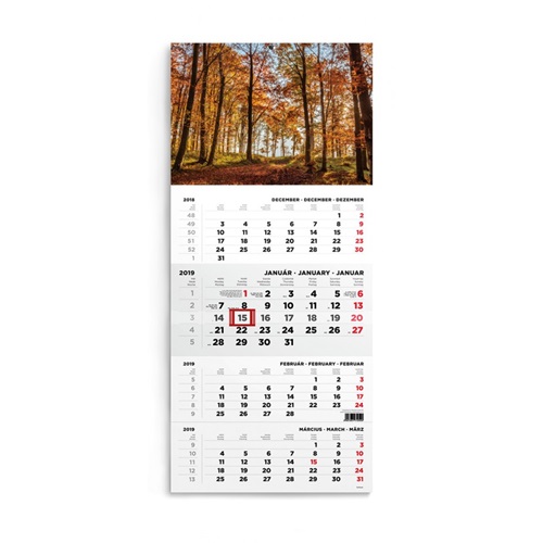Speditornaptar_Toptimer_T079_1_tombos_4_havi_Erdo_2019-i253793.jpg