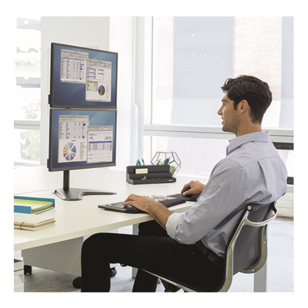 Monitortarto_allvany_FELLOWES_Professional_Series_Dual_Stacking_ket_monitorhoz-i1173105.jpg