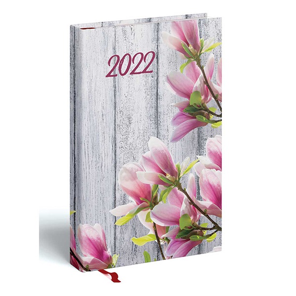 Hataridonaplo_REALSYSTEM_Picture_A_5_napi_feher_lapos_Magnolia_2022_-i610477.jpg