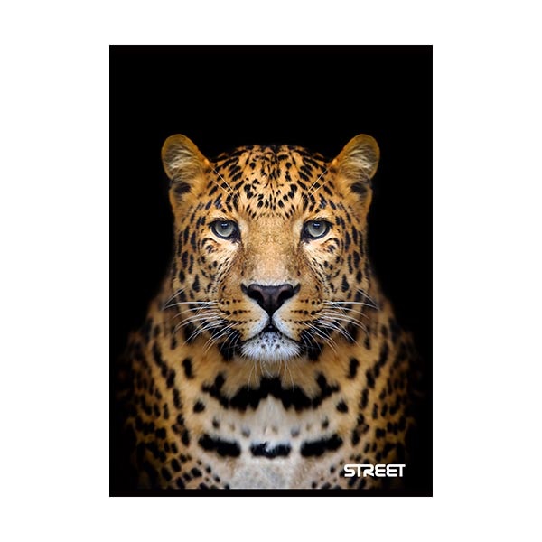 Fuzet_STREET_Safari_A_5_54_lapos_vonalas_margoval-i576098.jpg