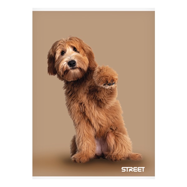 Fuzet_STREET_Friends_A_5_54_lapos_sima-i664972.jpg