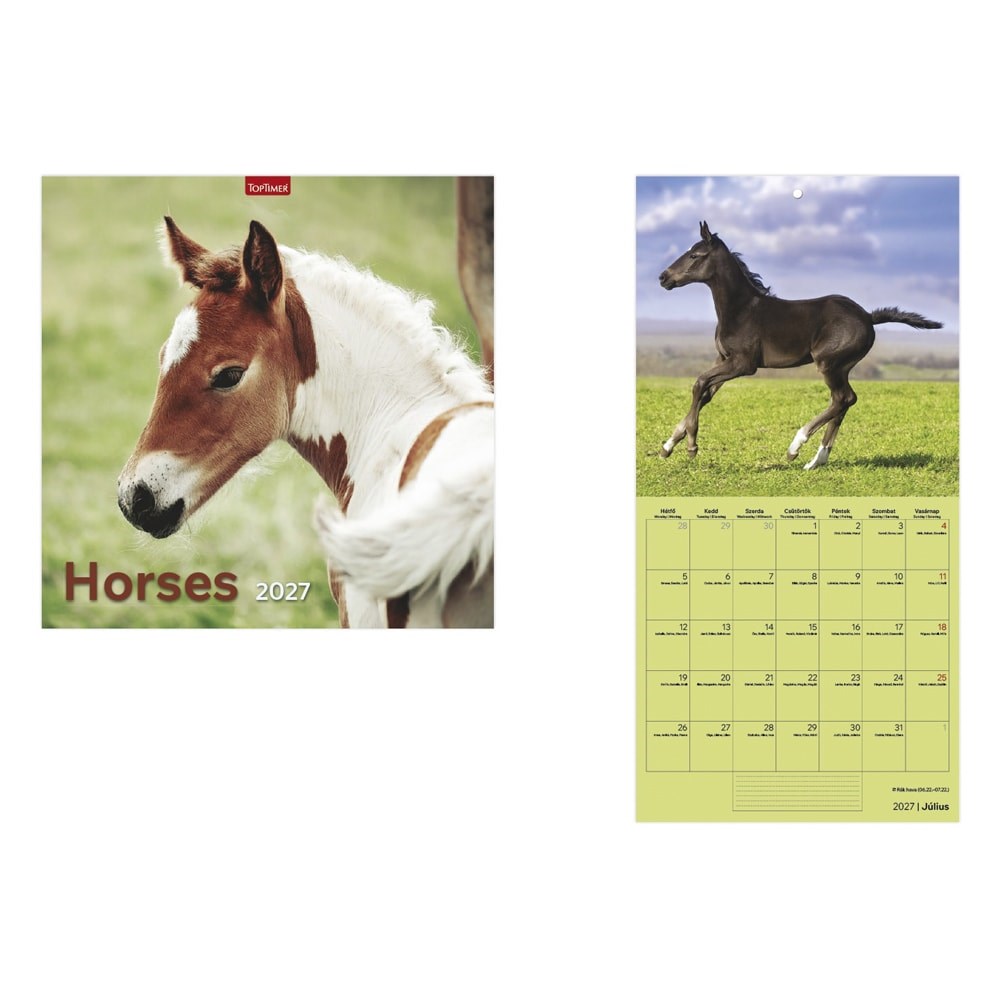 Falinaptar_TOPTIMER_T098_290x580mm_allo_Horses_2027-i2697125.jpg