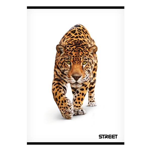 Fuzet_STREET_Safari_A_4_54_lapos_sima-i665327.jpg