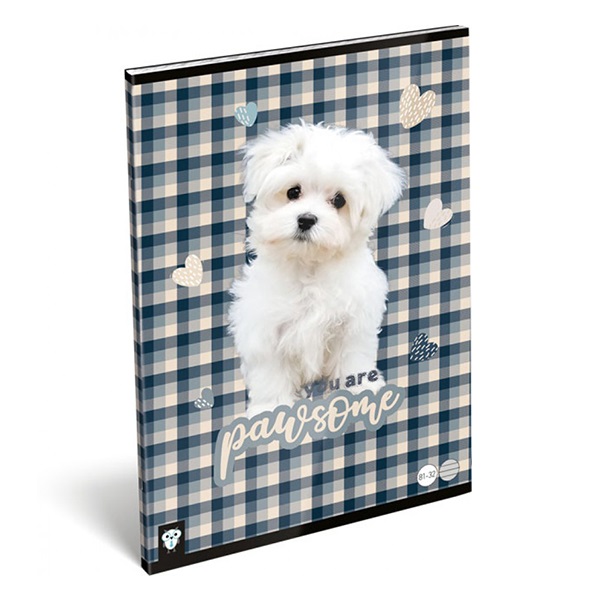 Fuzet_LIZZY_CARD_A_4_32_lapos_vonalas_81_32_pawsome-i670631.jpg