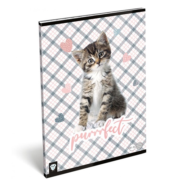 Fuzet_LIZZY_CARD_A_4_32_lapos_vonalas_81_32_purrrfect-i670636.jpg
