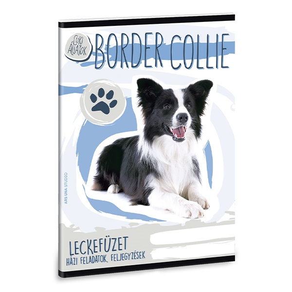 Leckefuzet_ARS_UNA_A_5_32_lapos_Cuki_Border_Collie-i673485.jpg