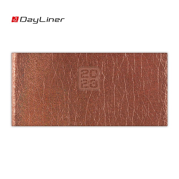 Zsebnaptar_DAYLINER_Mirror_fekvo_feher_lapos_bronz_2023_-i710805.jpg