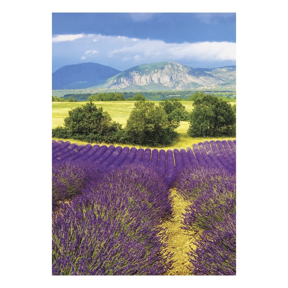 Falinaptar_TOPTIMER_T092_315x450mm_allo_Provence_2027-i2677127.jpg