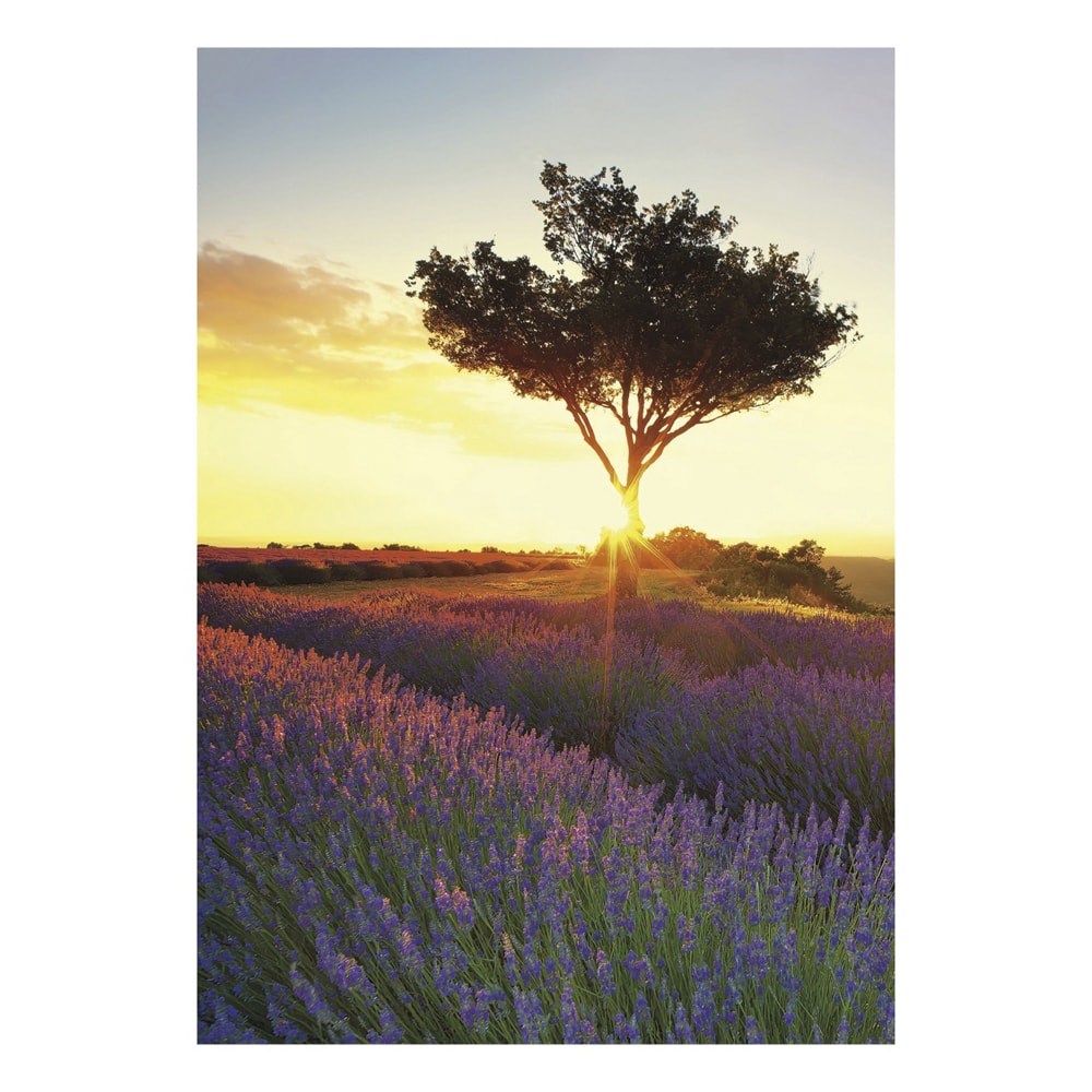 Falinaptar_TOPTIMER_T092_315x450mm_allo_Provence_2027-i2677138.jpg