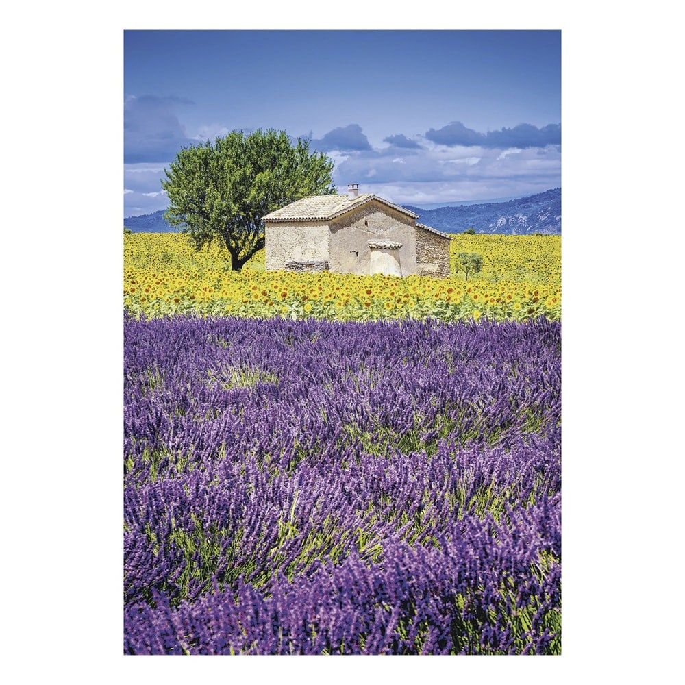 Falinaptar_TOPTIMER_T092_315x450mm_allo_Provence_2027-i2697807.jpg