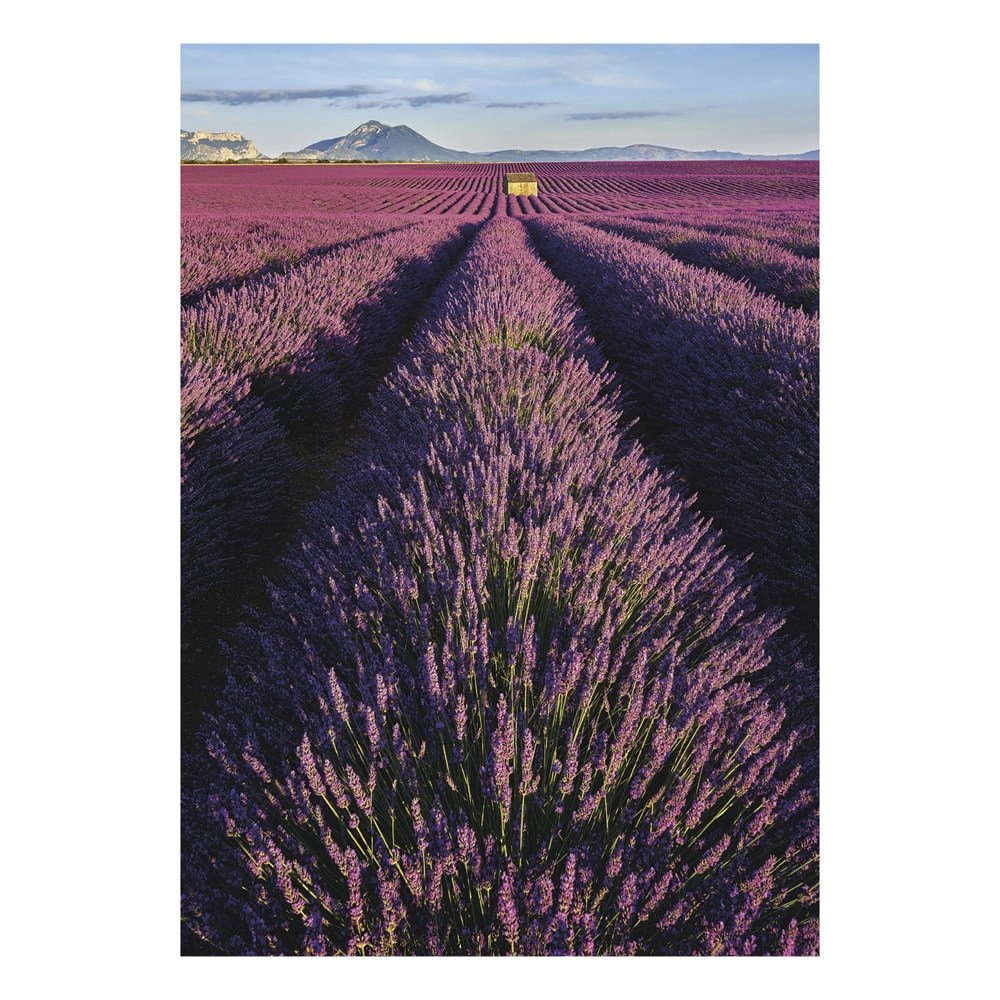 Falinaptar_TOPTIMER_T092_315x450mm_allo_Provence_2027-i2697818.jpg