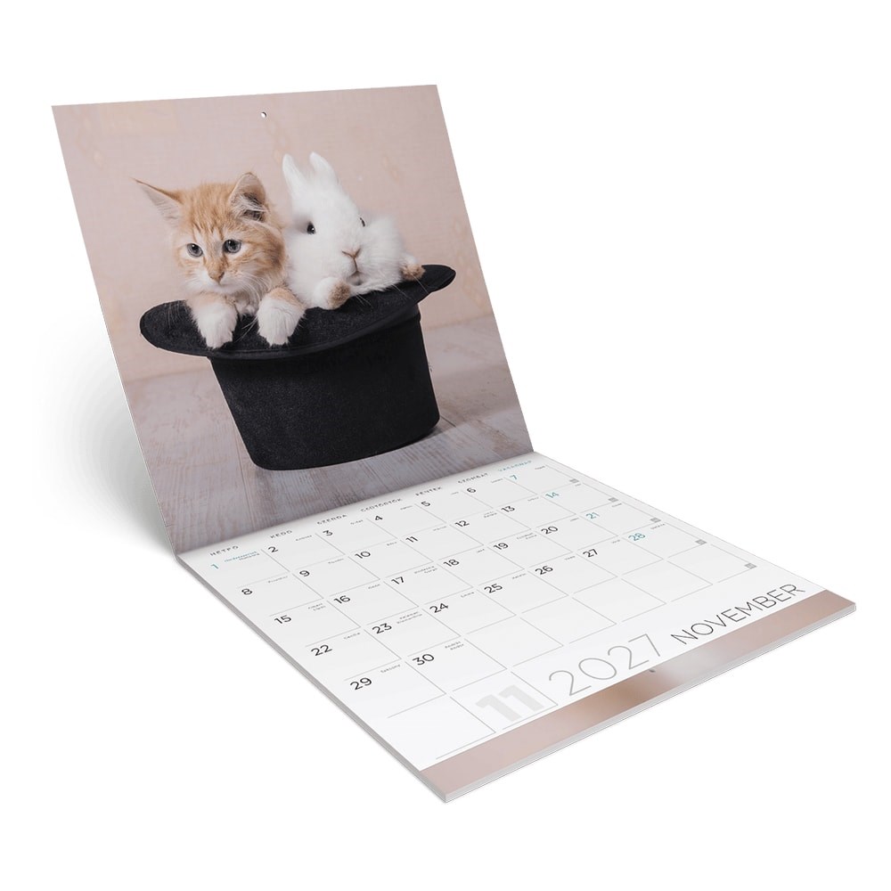 Falinaptar_LIZZYCALENDAR_300x600mm_allo_Little_Friends_2027-i2660143.jpg