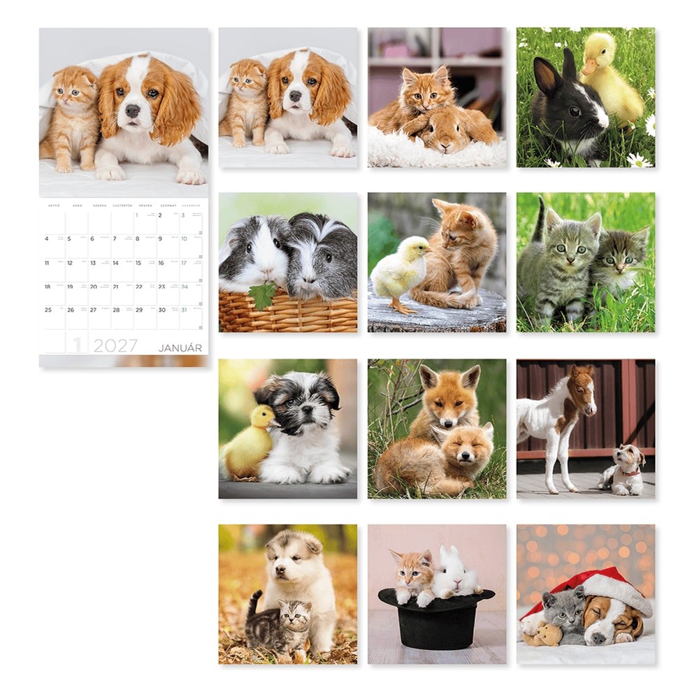 Falinaptar_LIZZYCALENDAR_300x600mm_allo_Little_Friends_2027-i2660154.jpg